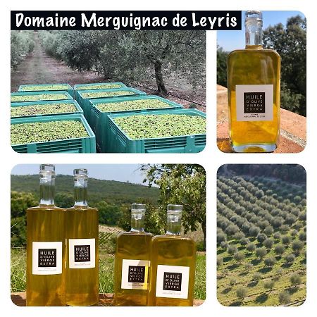 Mas Grenadine, Magnifique Villa Du Piemont Cevenol Sauve ภายนอก รูปภาพ